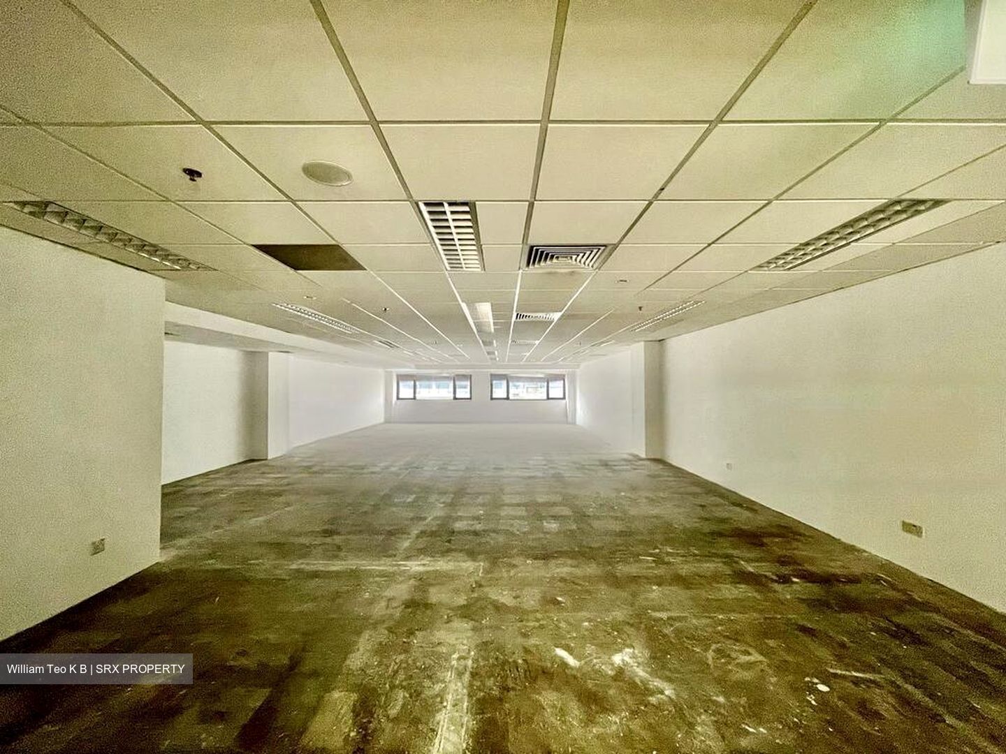 The Adelphi (D6), Office #450990781